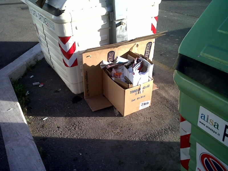 IMG00320-20121108-0817.jpg