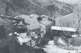vallucciole.jpg