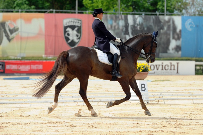 Arezzo-Equestrian-Centre---Concorso-Nazionale-di-Dressage-Fise-(4).jpg