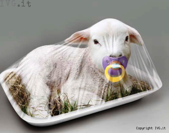 agnello-confezionato-lav.jpg