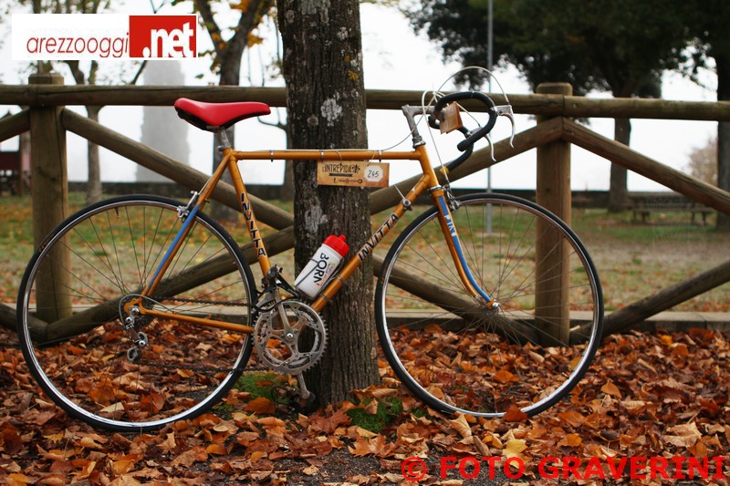 anteprima--intrepida-2013.jpg