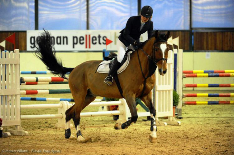 Equestrian-Centre---Gare-nazionali-2013-(1).jpg