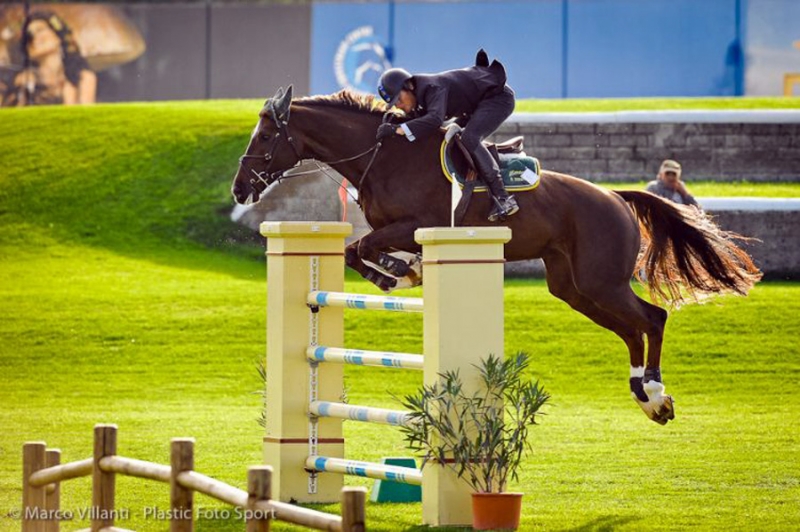 Equestrian-Centre---Gare-nazionali-2013-(14).jpg