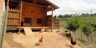 fattoria-aia.jpg