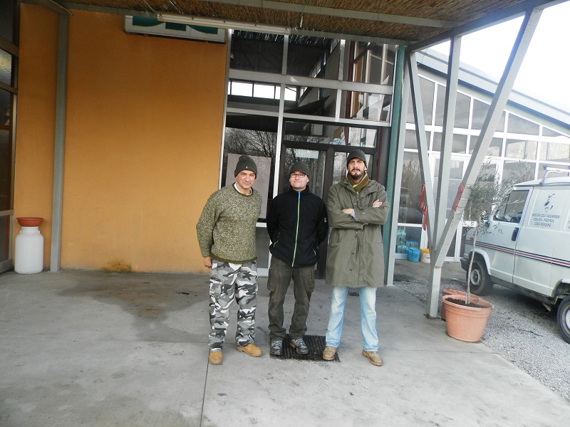 lucignano-corso-potatura-olivi.jpg