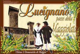 lucignano-maggiolata-cartello.jpg