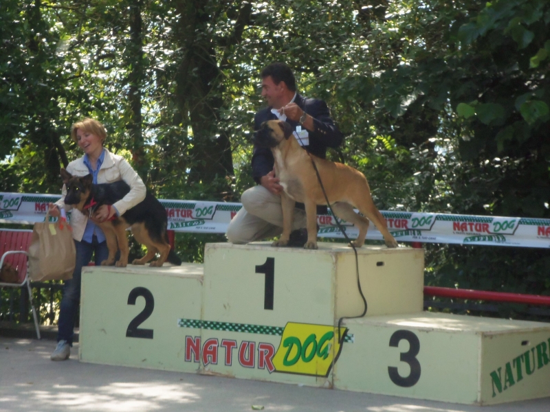 lucignano-mostra-canina-(1).jpg