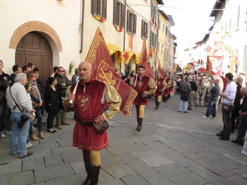 maggiolata-sfilata.jpg