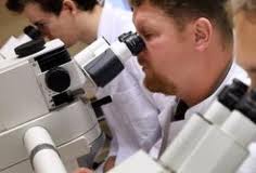 microscopio.jpg