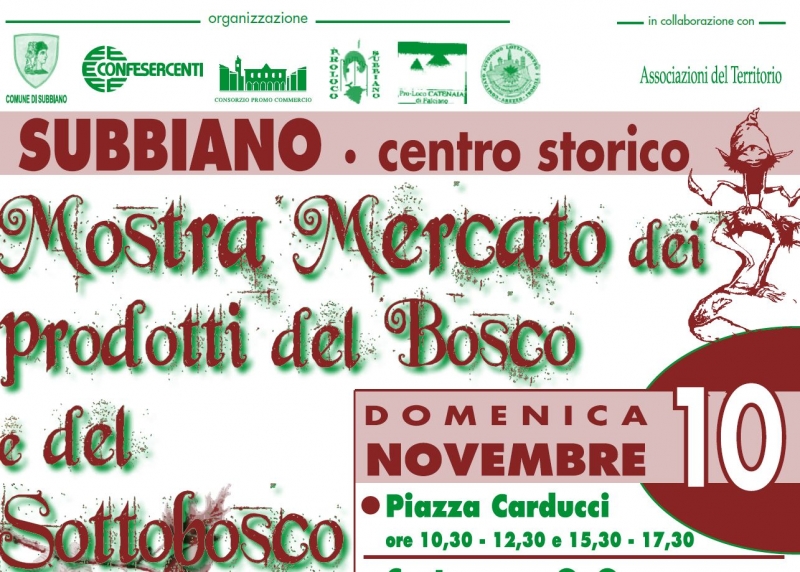 mostra-subbiano-bosco.jpg