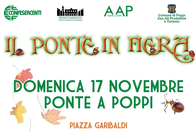 Ponte-in-fiera-2013.jpg