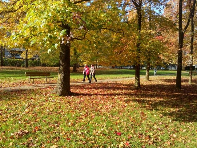 parco-giotto.jpg