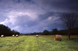 temporale-campagna.jpg