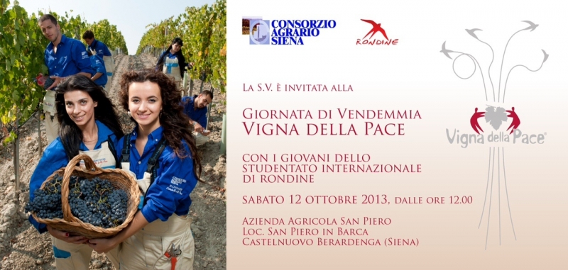 Vendemmia-Vigna-della-Pace-2013.jpg