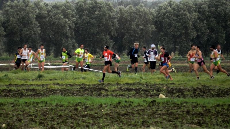 cross-corsa-campestre.JPG