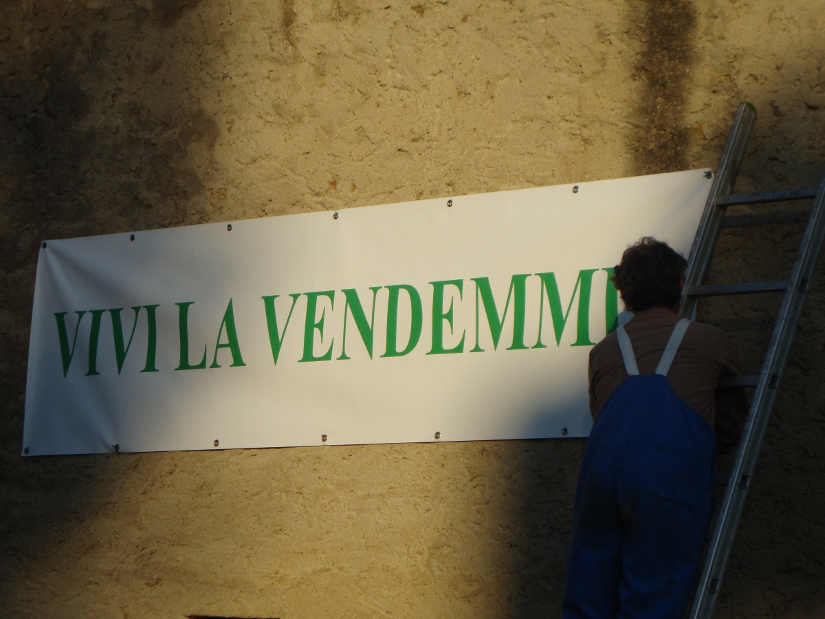 18-Vivi-la-vendemmia.jpg